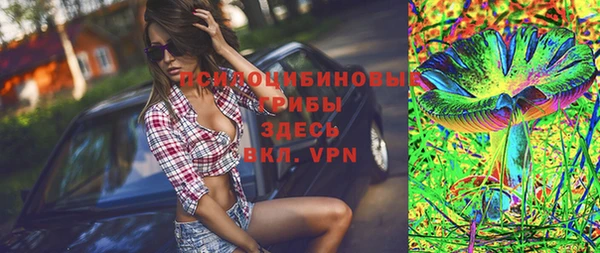 прущий лед Алзамай