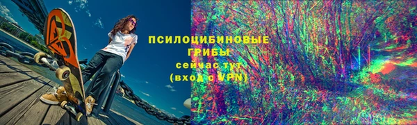 прущий лед Алзамай