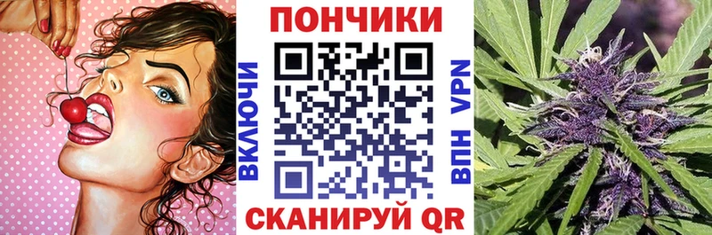 Шишки марихуана OG Kush  дарк нет состав  Новая Ладога 